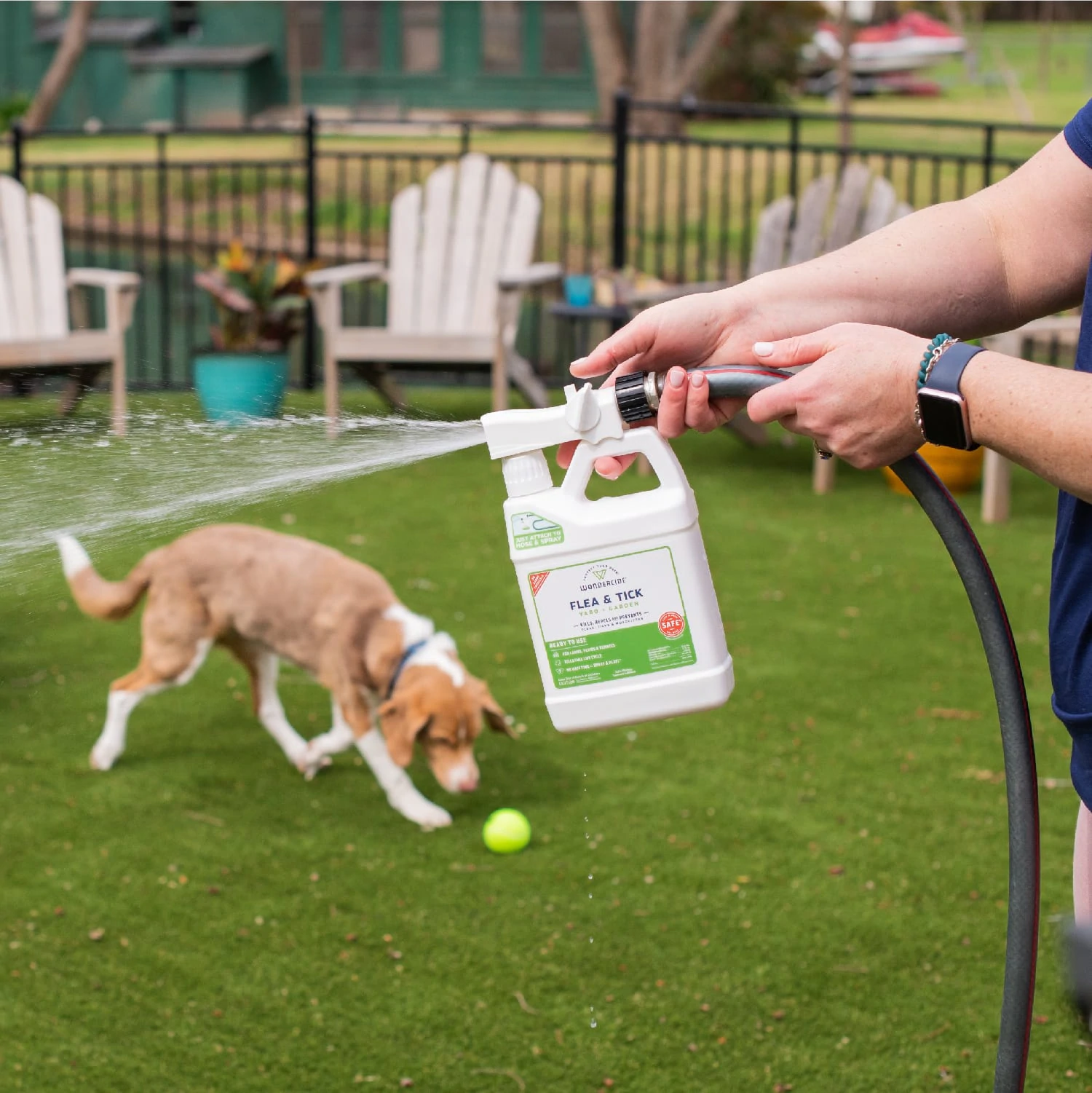 Ready-to-Use Flea & Tick Spray for Yard + Garden - In Use