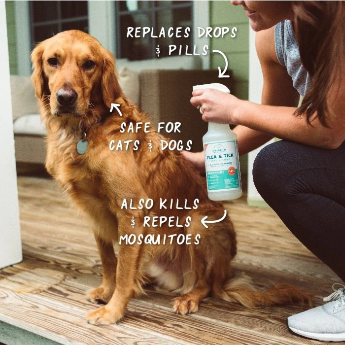 Cedarwood Flea & Tick Spray for Pets + Home - Gallery