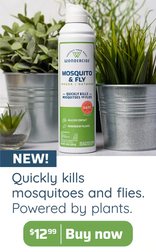 New! Quickly kills mosquitoes and flies. Buy now