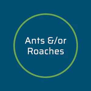 https://cdn.shopify.com/s/files/1/0275/8072/7380/t/8/assets/pf-53e57299-66b3-4b11-9117-ce01bd11a61e--AntsRoaches_300x