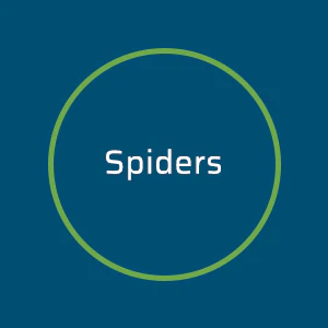 https://cdn.shopify.com/s/files/1/0275/8072/7380/t/8/assets/pf-7cc91494-1a0f-49ef-8e8e-66531f26af22--Spides_300x