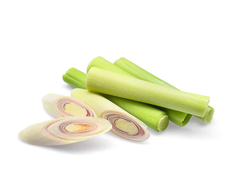 https://cdn.shopify.com/s/files/1/0275/8072/7380/t/8/assets/pf-a298739a-6725-4dcf-80d9-0dd9d93928c4--IngredientsLemongrass_500x