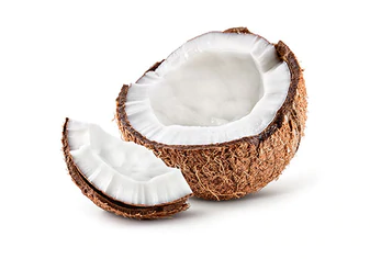 https://cdn.shopify.com/s/files/1/0275/8072/7380/t/8/assets/pf-df39ab77-6b5f-4286-a2ae-f963f9134da0--IngredientsCoconut_337x