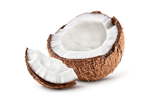 https://cdn.shopify.com/s/files/1/0275/8072/7380/t/8/assets/pf-df39ab77-6b5f-4286-a2ae-f963f9134da0--IngredientsCoconut_500x